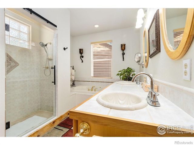 98 Deadhorse Mountain Court, Livermore, CO 80536