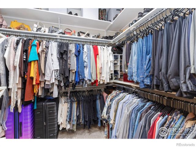 98 Deadhorse Mountain Court, Livermore, CO 80536