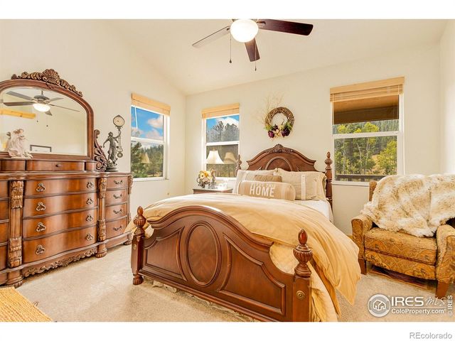 98 Deadhorse Mountain Court, Livermore, CO 80536