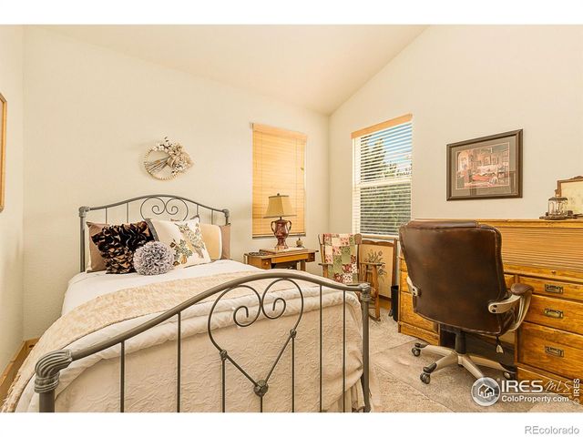 98 Deadhorse Mountain Court, Livermore, CO 80536