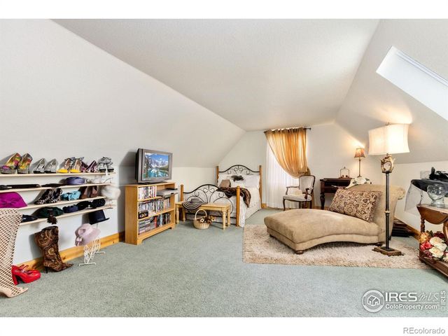 98 Deadhorse Mountain Court, Livermore, CO 80536