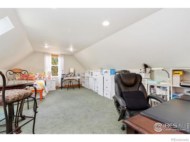 98 Deadhorse Mountain Court, Livermore, CO 80536