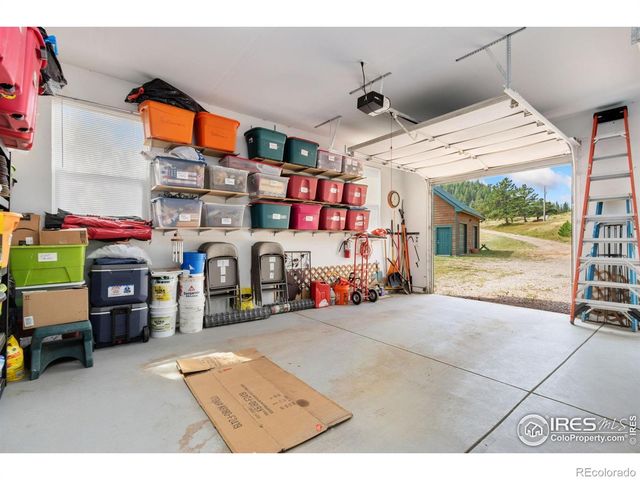 98 Deadhorse Mountain Court, Livermore, CO 80536