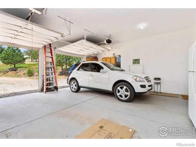 98 Deadhorse Mountain Court, Livermore, CO 80536