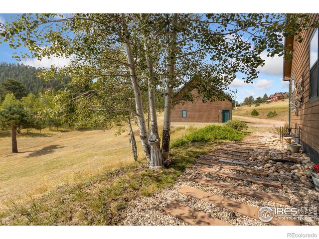 98 Deadhorse Mountain Court, Livermore, CO 80536