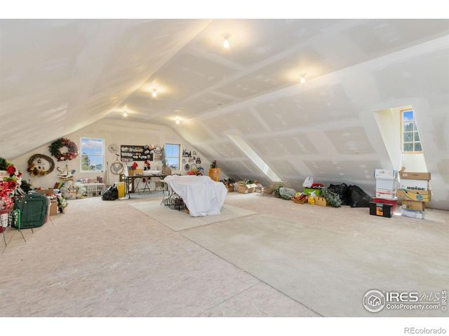 98 Deadhorse Mountain Court, Livermore, CO 80536