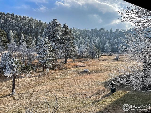 98 Deadhorse Mountain Court, Livermore, CO 80536