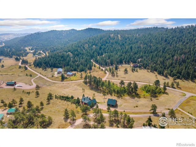 98 Deadhorse Mountain Court, Livermore, CO 80536