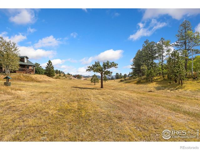 98 Deadhorse Mountain Court, Livermore, CO 80536