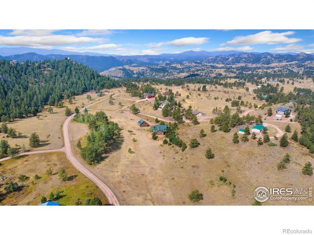 98 Deadhorse Mountain Court, Livermore, CO 80536