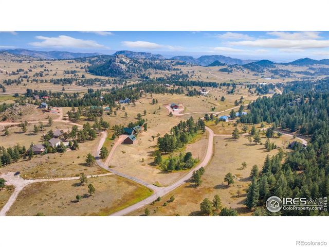 98 Deadhorse Mountain Court, Livermore, CO 80536