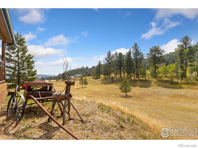 98 Deadhorse Mountain Court, Livermore, CO 80536