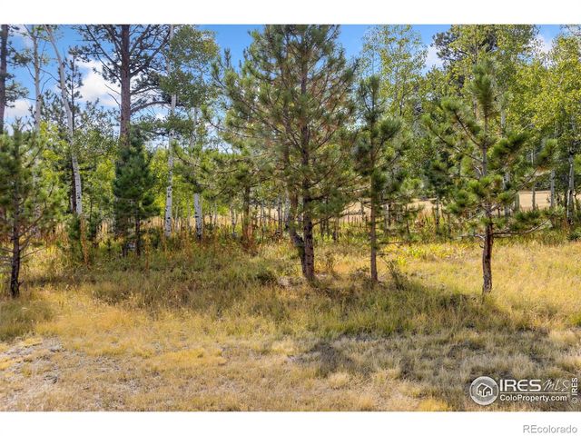 98 Deadhorse Mountain Court, Livermore, CO 80536