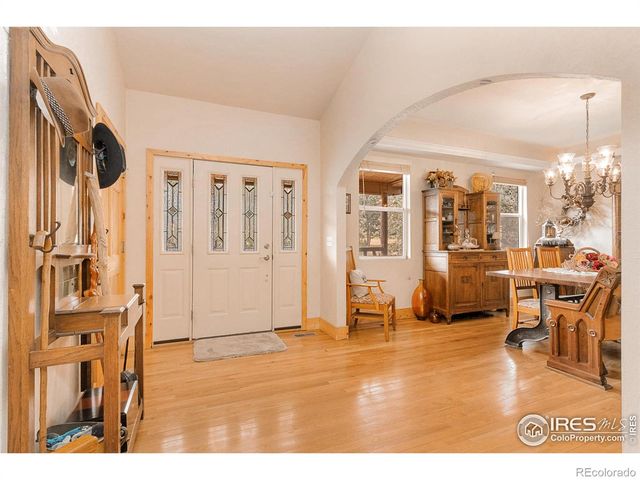 98 Deadhorse Mountain Court, Livermore, CO 80536