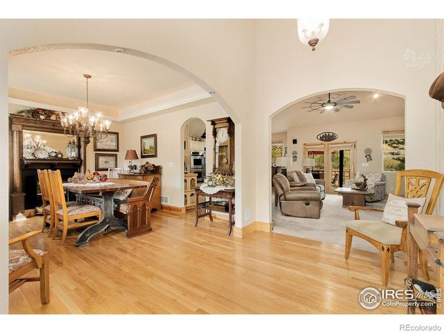 98 Deadhorse Mountain Court, Livermore, CO 80536