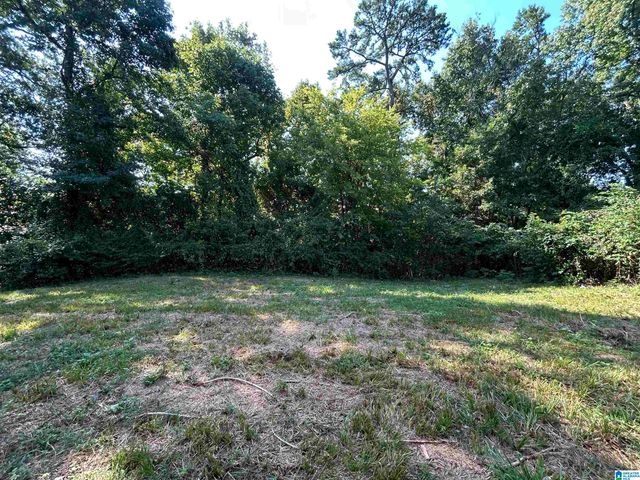 1801 HATCHET AVENUE, Tarrant, AL 35217