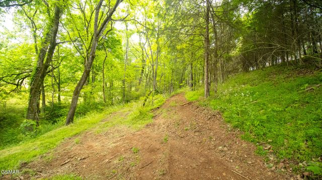 1445 River Road, New Market, TN 37820