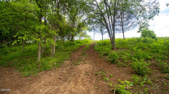 1445 River Road, New Market, TN 37820