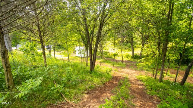 1445 River Road, New Market, TN 37820