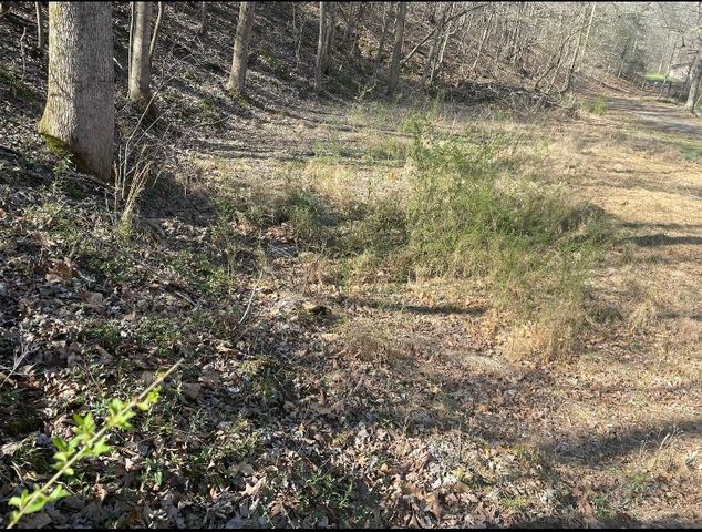 1195 Blaylock Rd, N, Dickson, TN 37055
