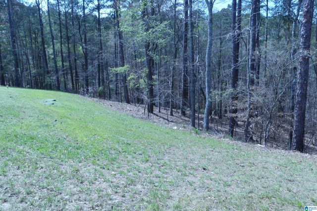 4972 COUNTY ROAD 804, Wedowee, AL 36278