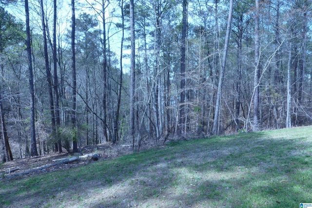 4972 COUNTY ROAD 804, Wedowee, AL 36278