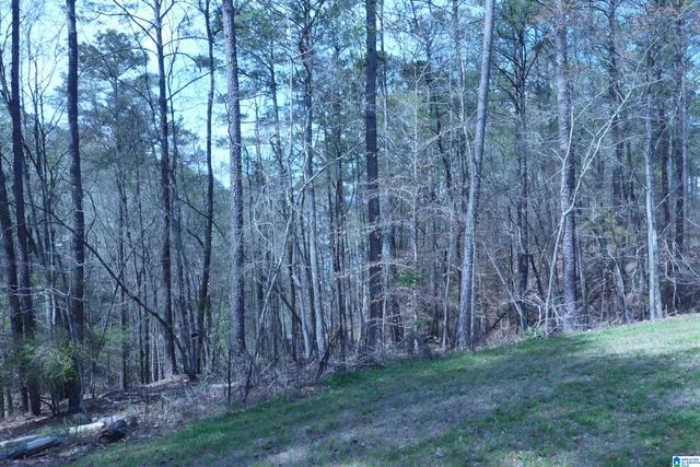 4972 COUNTY ROAD 804, Wedowee, AL 36278