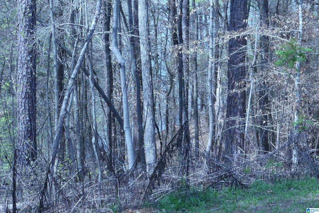 4972 COUNTY ROAD 804, Wedowee, AL 36278