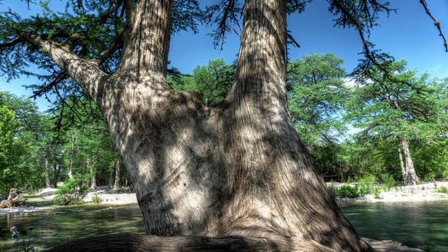 704 Alex Auld, Leakey, TX 78873