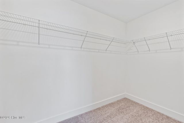 230 S Umbrella Palm Drive, Hampstead, NC 28443