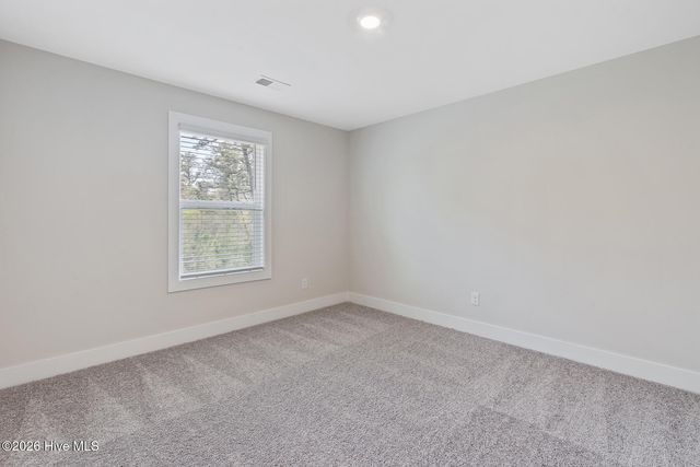 230 S Umbrella Palm Drive, Hampstead, NC 28443