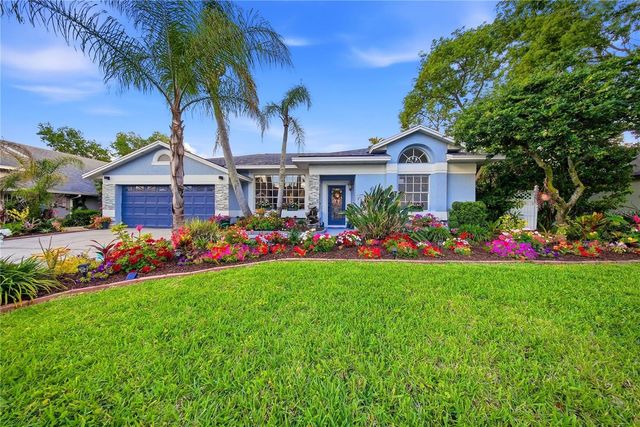 2009 RIVER PARK COURT, Valrico, FL 33596