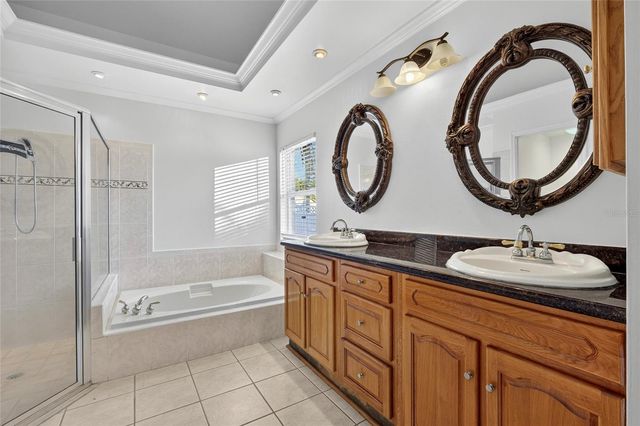 15123 BALD EAGLE STREET, Tampa, FL 33625