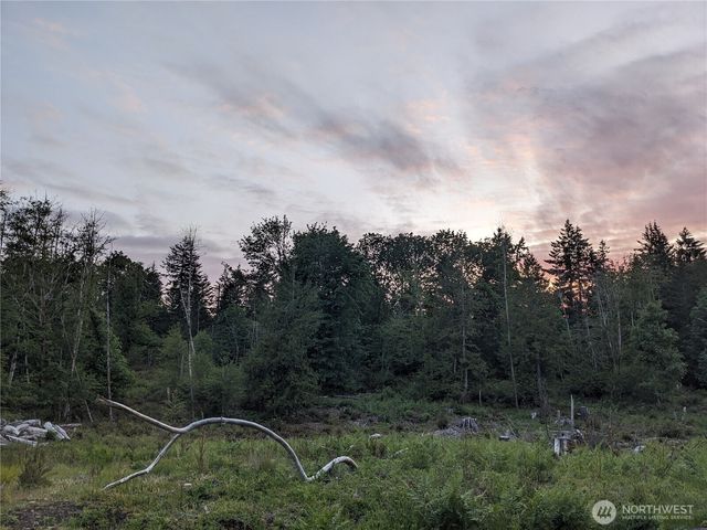 681 E Jared Road, Shelton, WA 98584