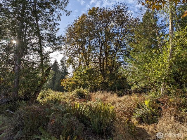 681 E Jared Road, Shelton, WA 98584