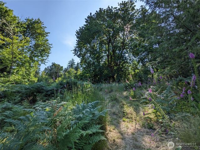681 E Jared Road, Shelton, WA 98584