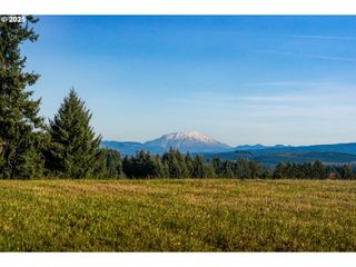 161 Cooper Hill Ct, Castle Rock, WA 98611