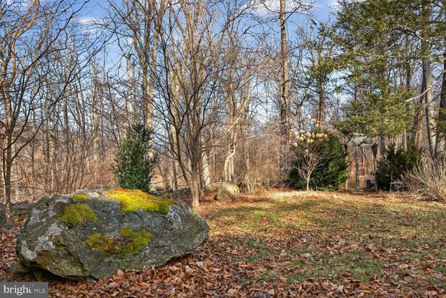 17651 RAVEN ROCKS RD, Bluemont, VA 20135