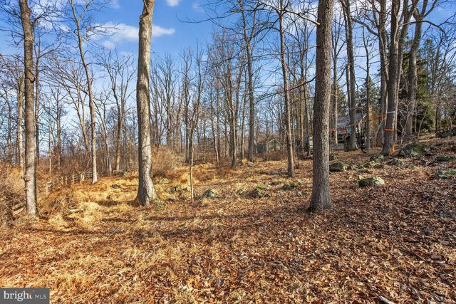 17651 RAVEN ROCKS RD, Bluemont, VA 20135