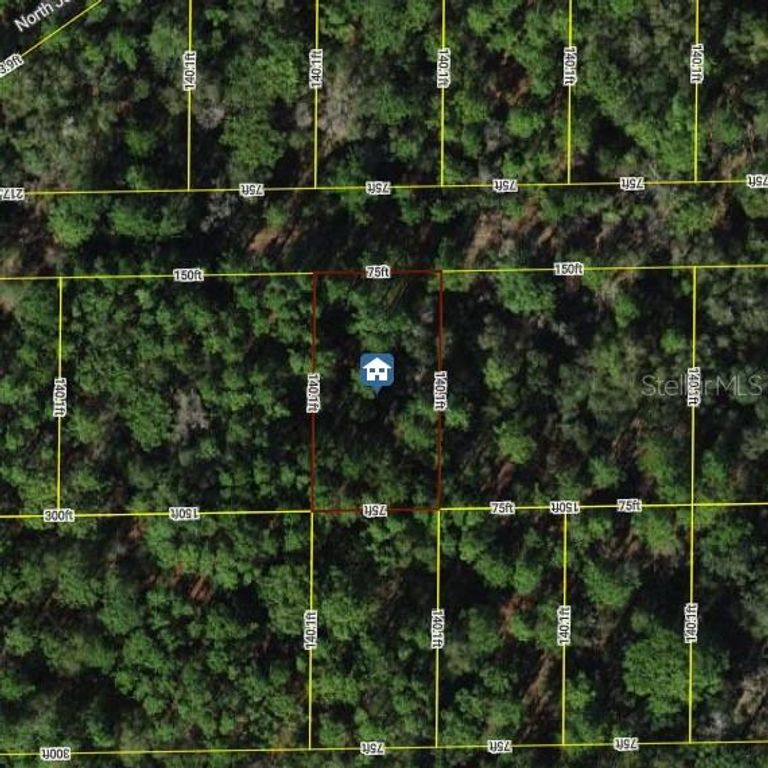 7334 W CONTENTMENT LANE, Dunnellon, FL 34433