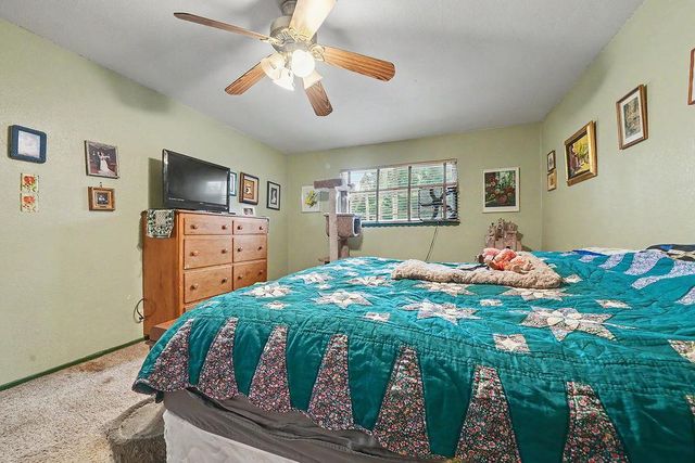 26397 Parkwood Dr, Pioneer, CA 95666