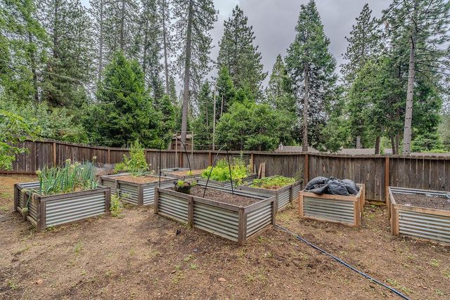26397 Parkwood Dr, Pioneer, CA 95666
