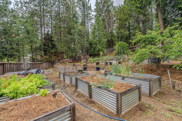 26397 Parkwood Dr, Pioneer, CA 95666