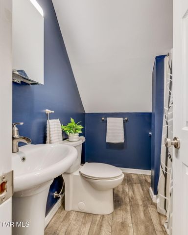 195 Bear Hollow Road, Elizabethton, TN 37643