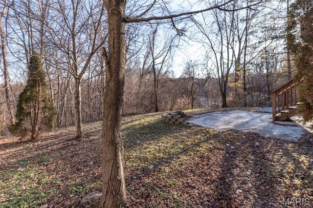 1010 Winter Lake Drive, Fenton, MO 63026