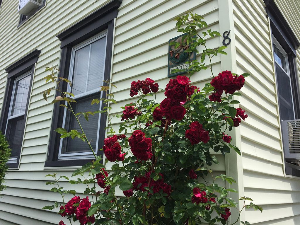 8 Spring Street, Westbrook, ME 04092 — photo 3
