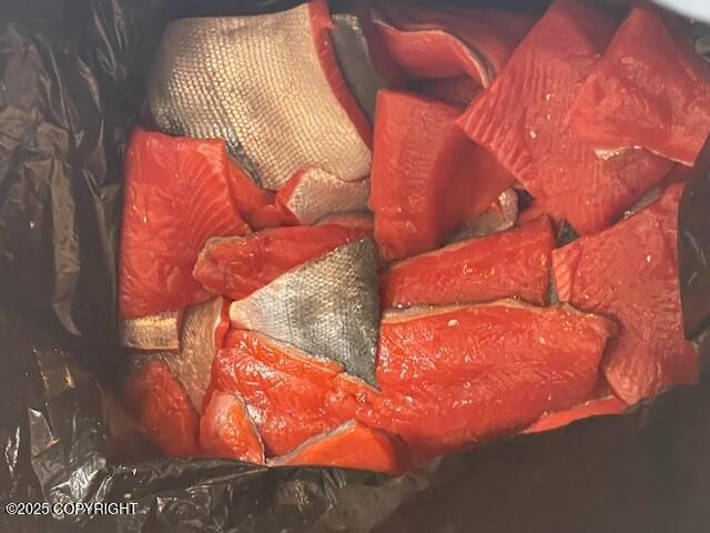 000 Nuyakuk, Koliganek, AK 99628