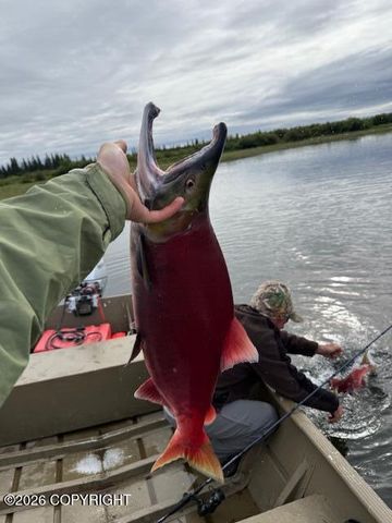 000 Nuyakuk, Koliganek, AK 99628