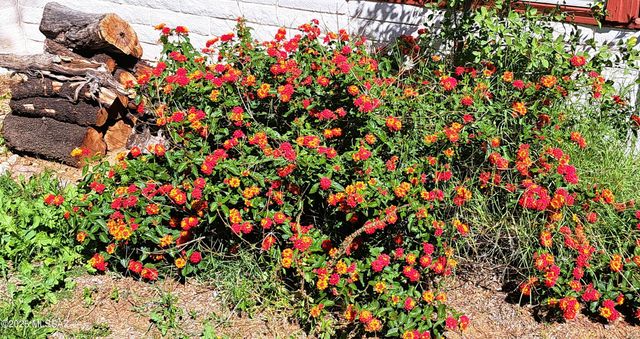 904 E Christmas Tree Lane, Pearce, AZ 85625