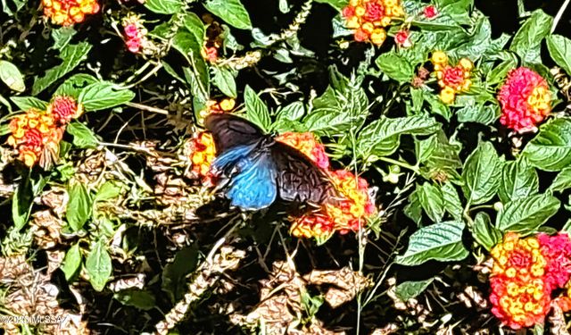 904 E Christmas Tree Lane, Pearce, AZ 85625